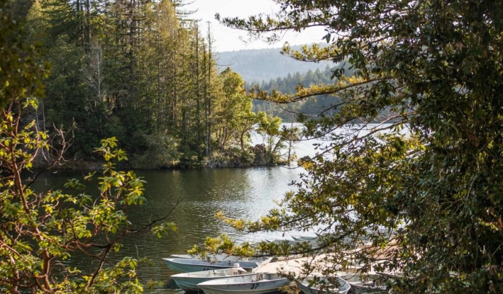 NCBS To Fete Members Volunteers July 8 At Loch Lomond Park Near   Loch Lomond Inlet Lake Boats 1024x599 